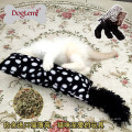 Cazy Jouant Catnip Jouet Chaton Toy Coussin Catnip Cat Jouet